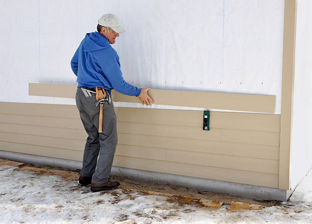 Best Vinyl Siding Installation  in Carson City, NV